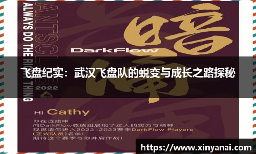 飞盘纪实：武汉飞盘队的蜕变与成长之路探秘