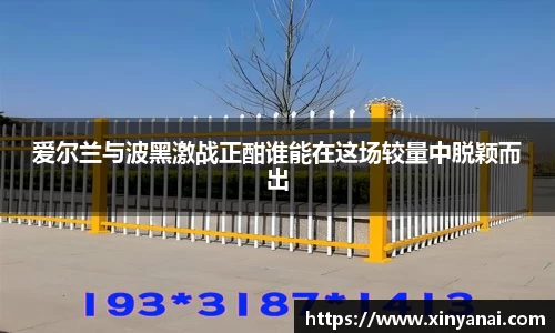 爱尔兰与波黑激战正酣谁能在这场较量中脱颖而出